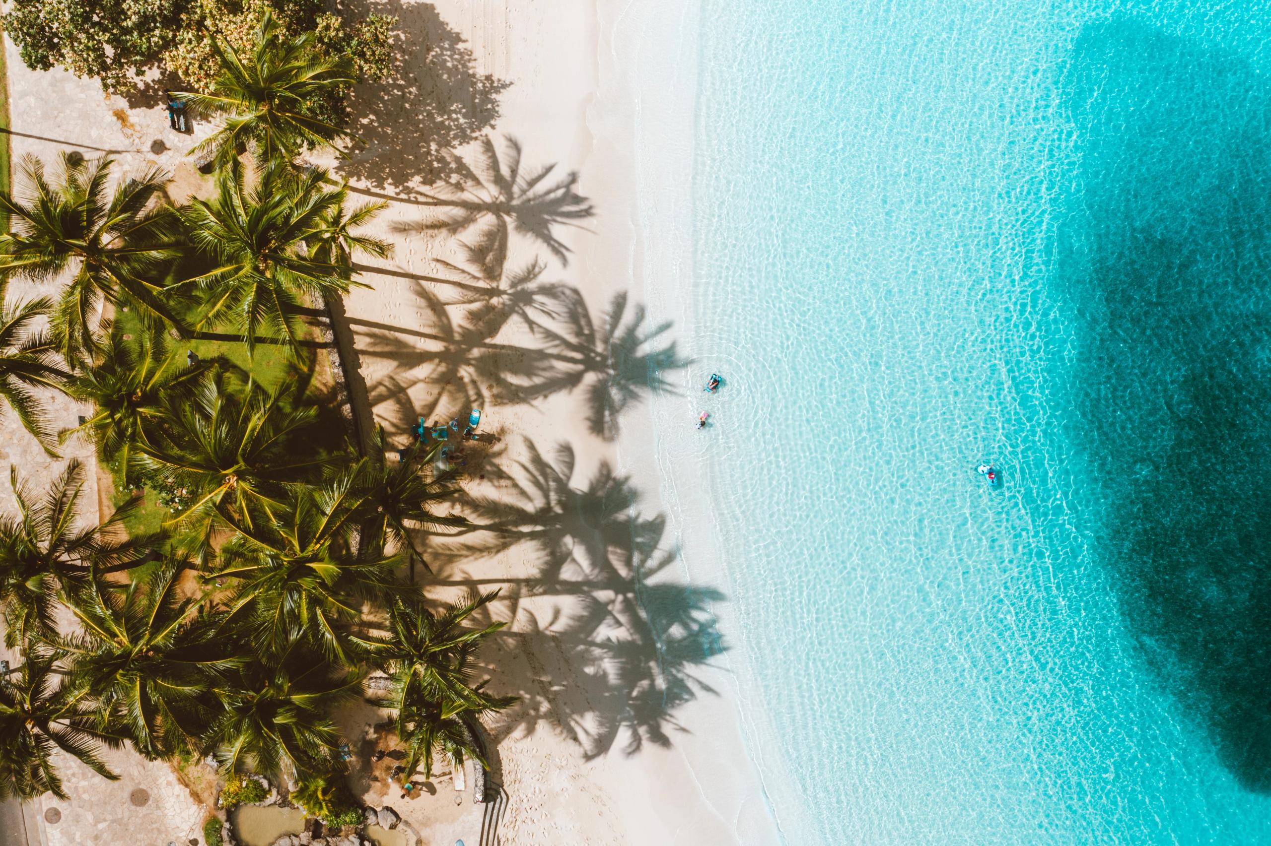 Luftaufnahme eines Palmenstrands mit weißem Sand und türkisblauem Wasser, die Palmen werfen lange Schatten auf den Strand